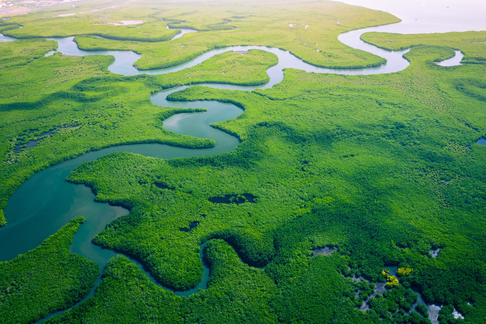 The Impact of What We Eat & 6 Facts You Might Not Know