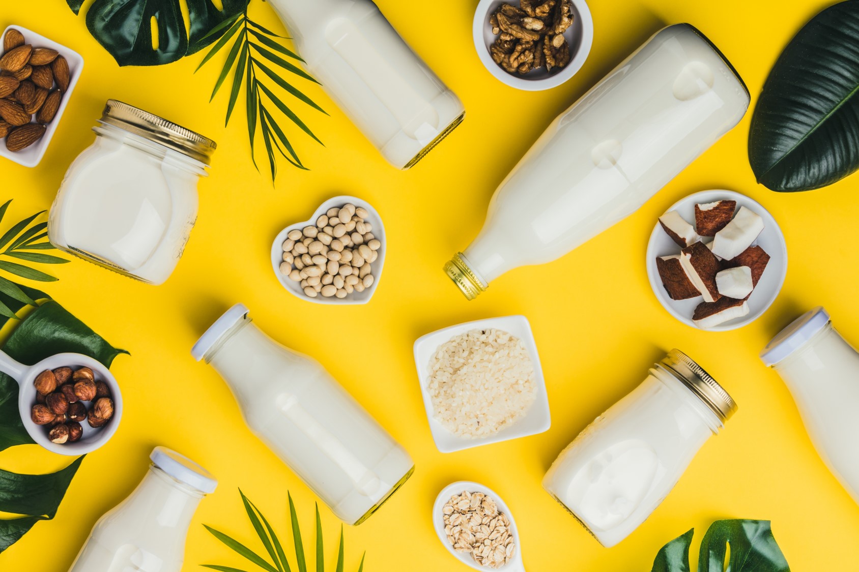 National Dairy Month: Why You Should Be Drinking Plant Based!